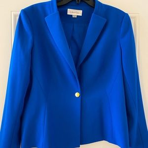 Gorgeous Blue Suit Jacket